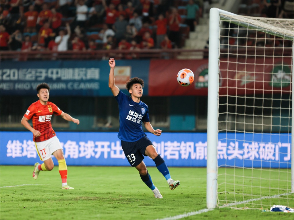 归无疑为法 归无疑为法